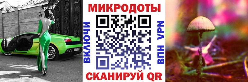 OMG ТОР  как найти закладки  Тара  Галлюциногенные грибы ЛСД 