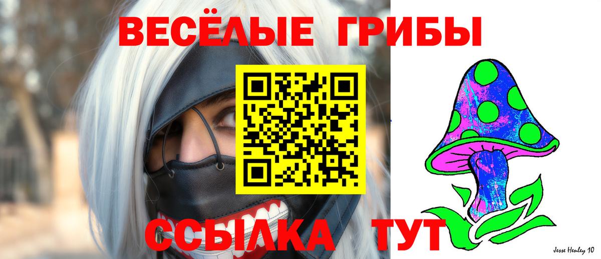 Тара  Псилоцибиновые грибы ЛСД  Вход с VPN 